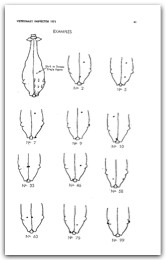 1971 Page 41